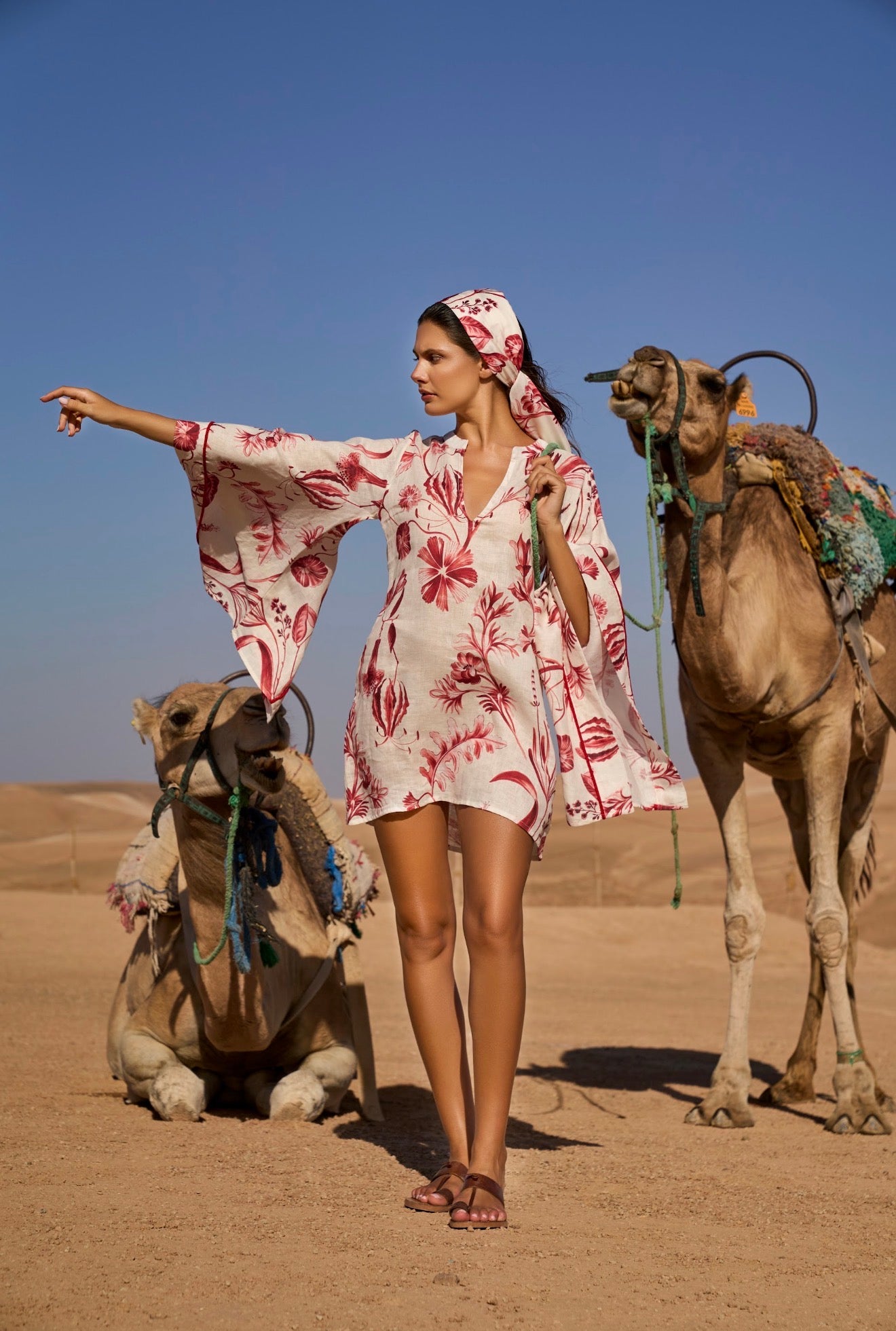 Mini Dress Rouge 213A