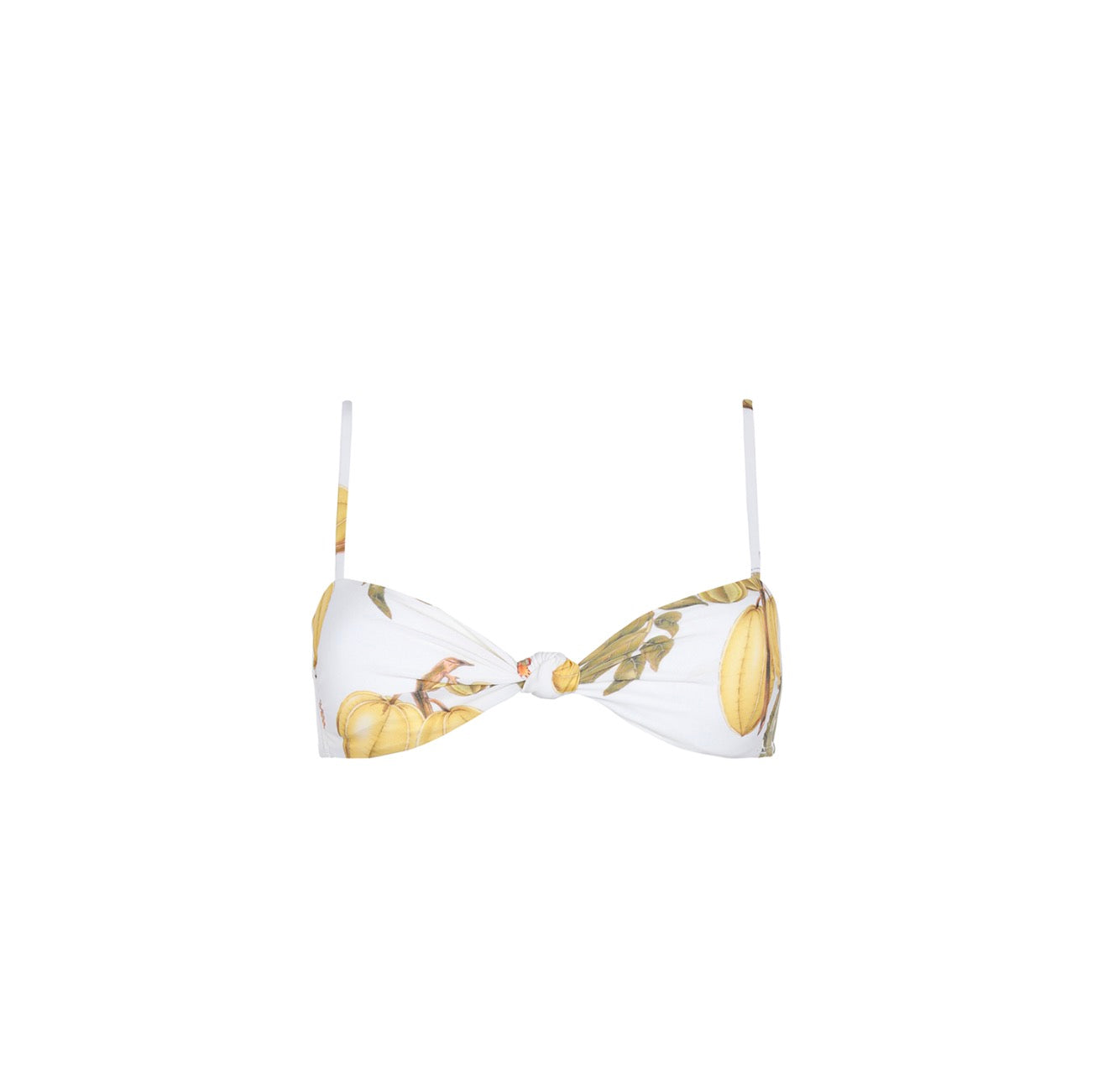 Bandeau Top Fruits De Lest 2