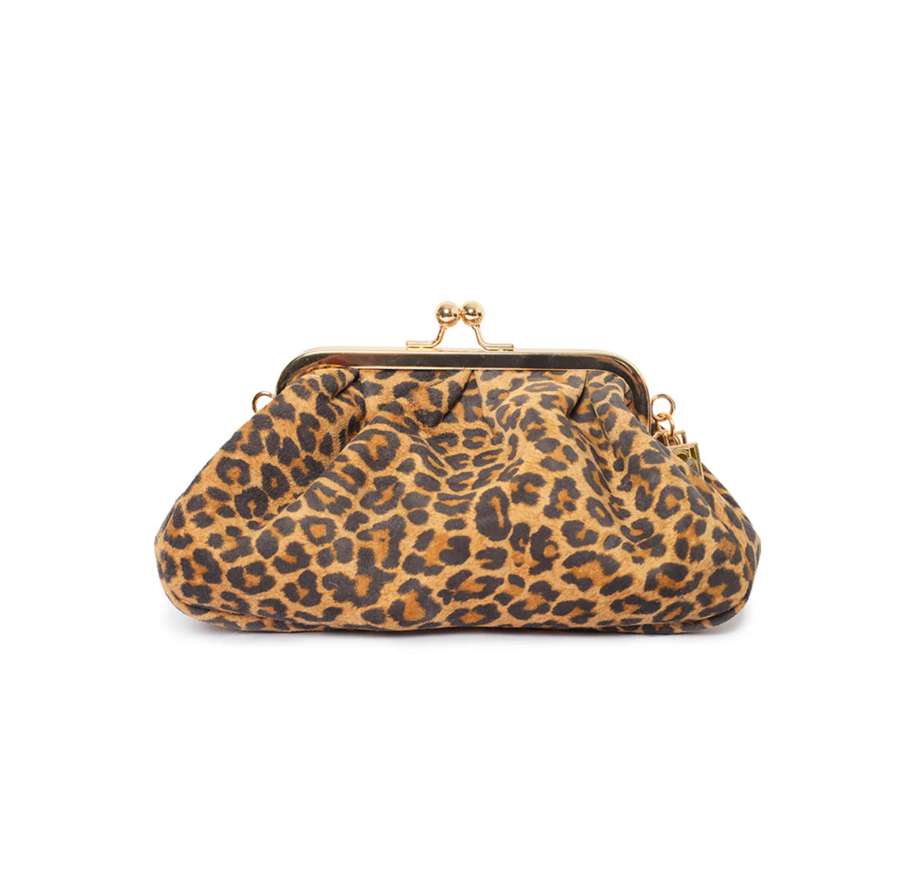 Leopard Bag