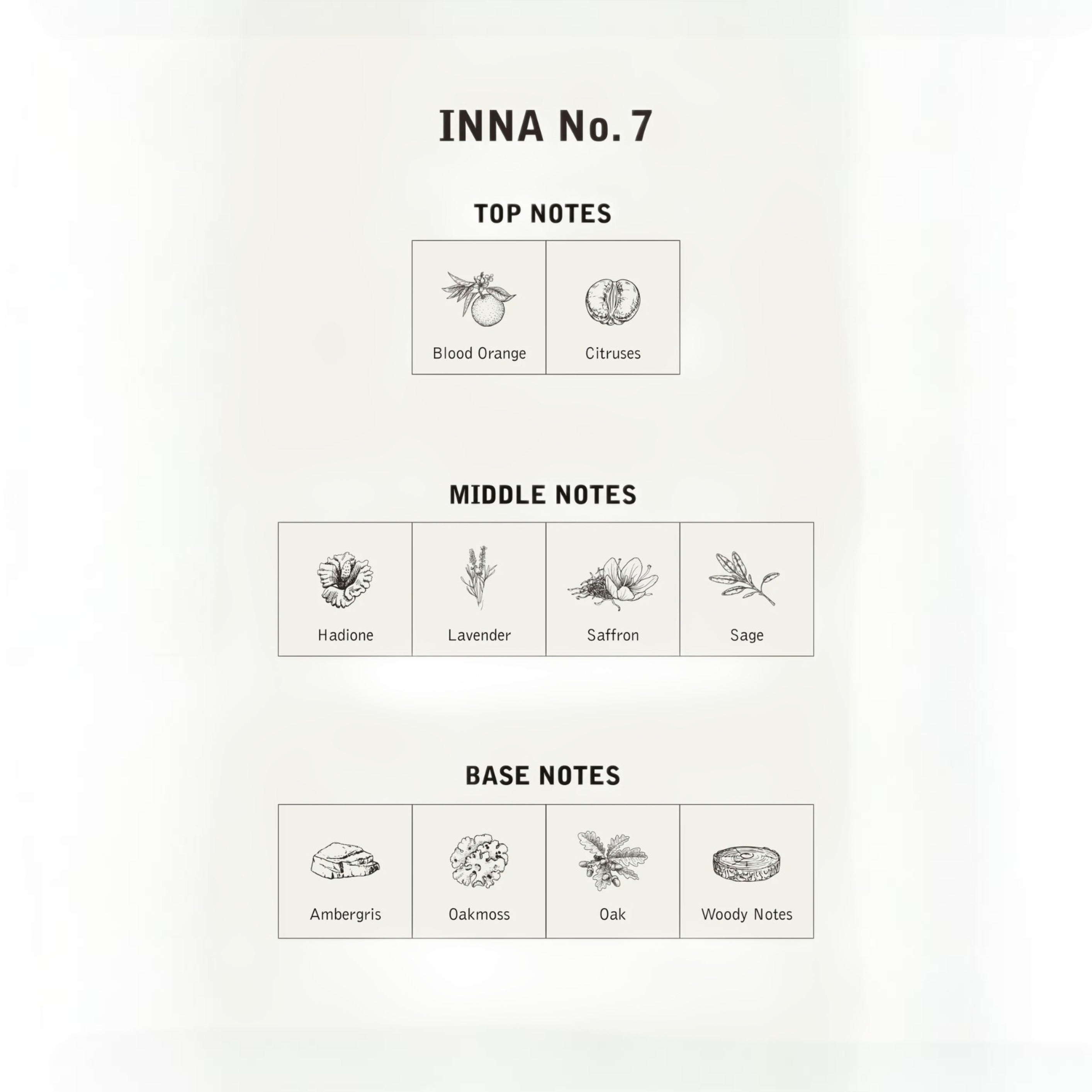 INNA 7
