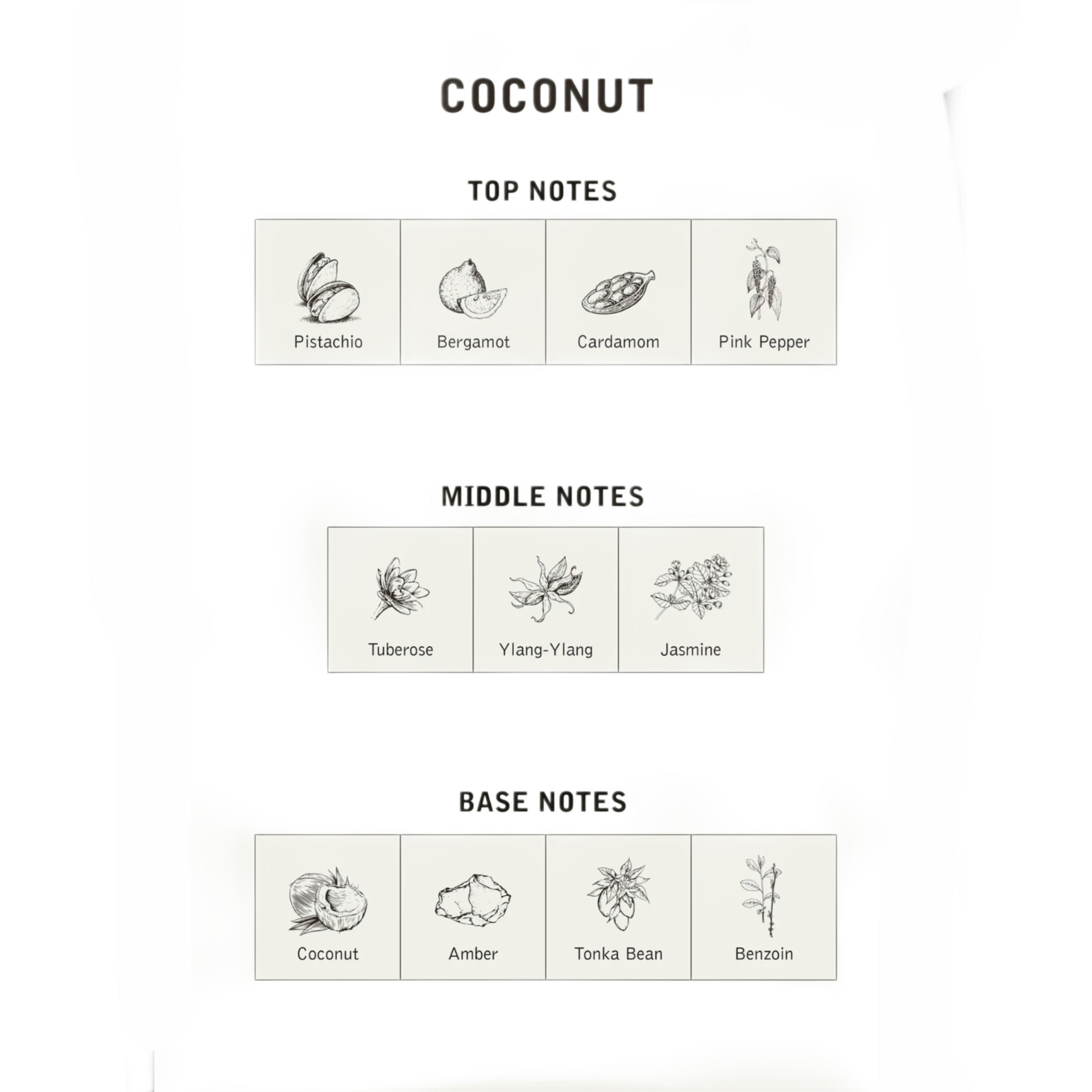 Coconut