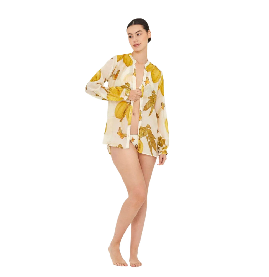 Shirt Cotton Silk