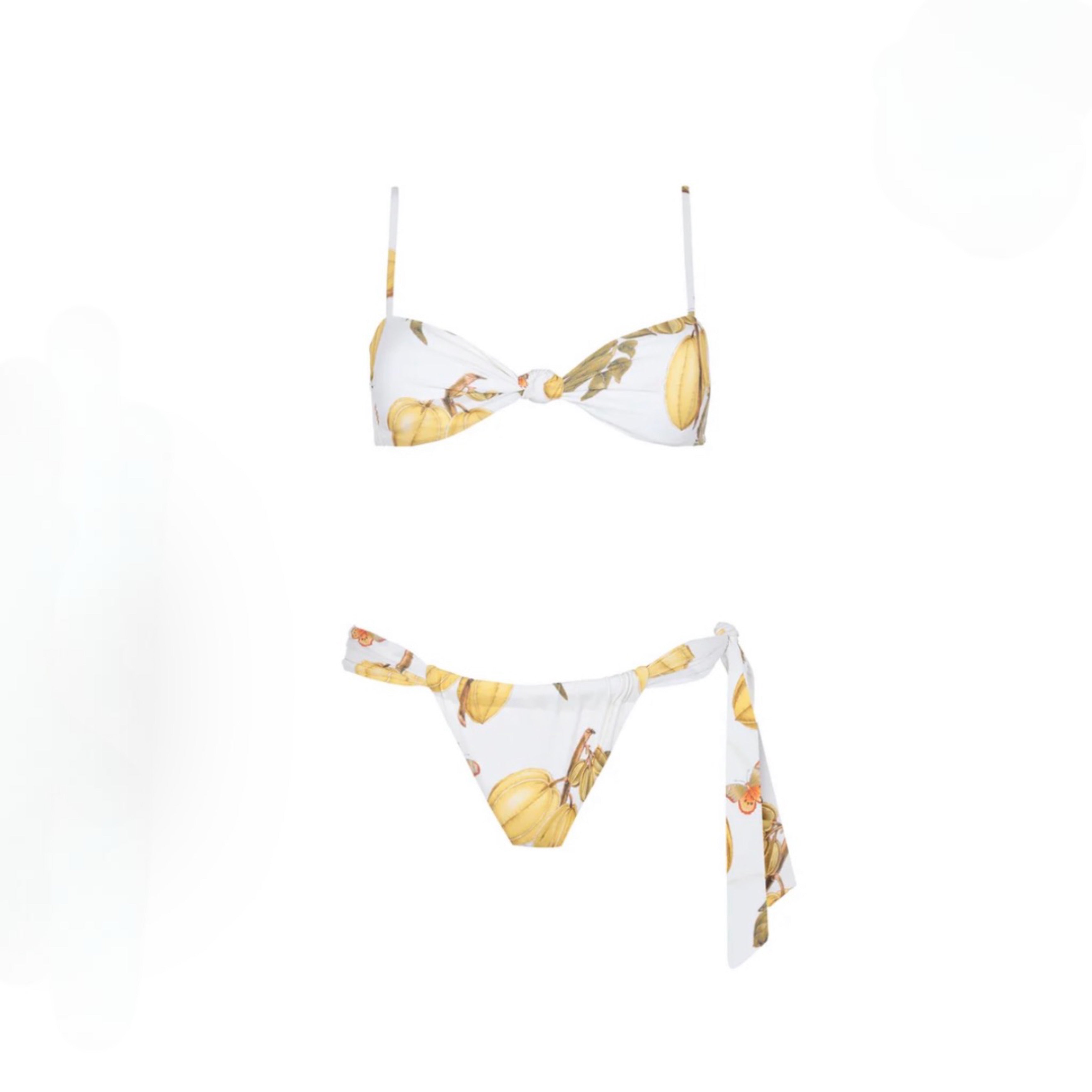 Bandeau Top Fruits De Lest 2